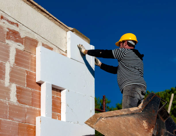 Best Insulation Installation Services in Sault Ste Marie, MI