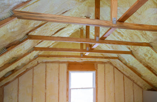 Best Insulation Installation Services in Sault Ste Marie, MI