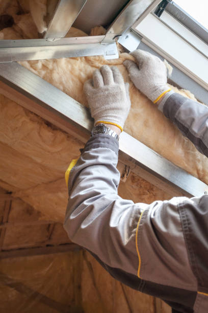 Best Insulation for Specific Applications in Sault Ste Marie, MI