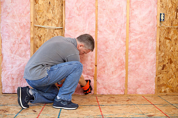 Best Residential Insulation in Sault Ste Marie, MI