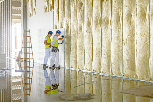 Best Commercial Insulation in Sault Ste Marie, MI